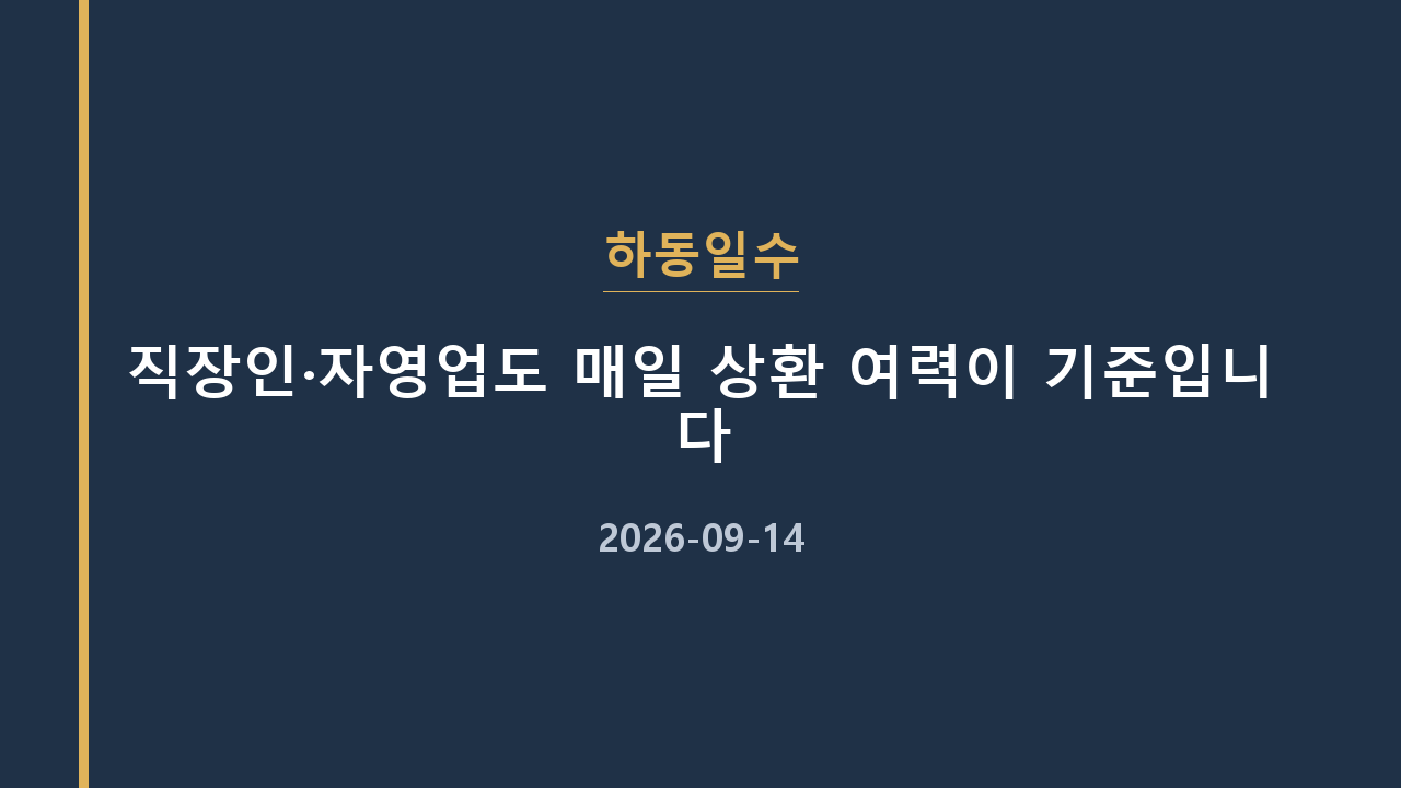 하동일수 직장인·자영업도 매일 상환 여력이 기준입니다