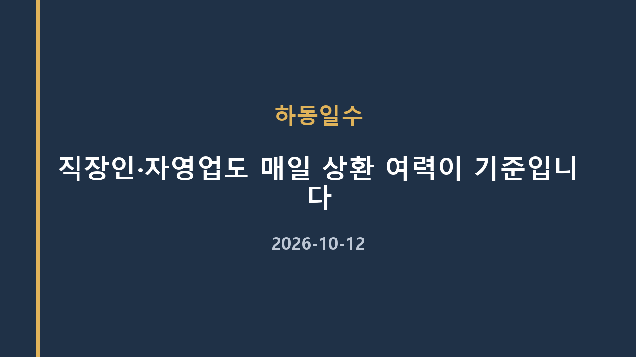 하동일수 직장인·자영업도 매일 상환 여력이 기준입니다